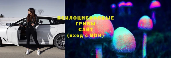 амф Алзамай