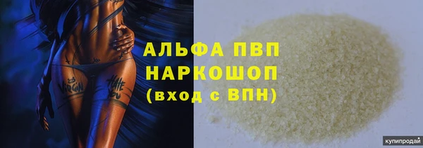 сатива Алексин
