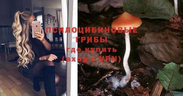 амф Алзамай