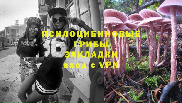 марки lsd Алексеевка